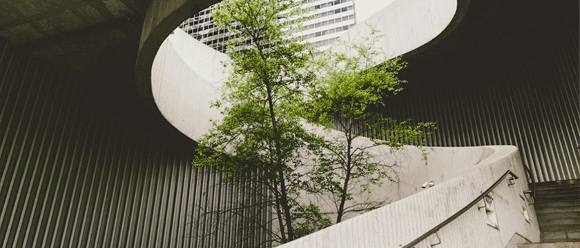 Science-Based Targets: Evolving Standards and Global Adoption