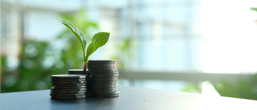 Sustainability’s Role in Capital Allocation Decisions