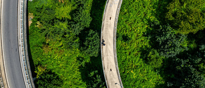 What the EU Taxonomy Is Revealing About Corporate Transition Readiness