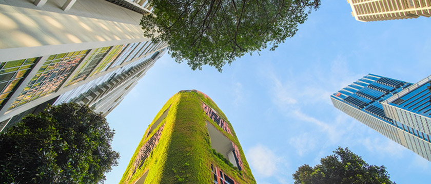 What the “Empowering Consumers for the Green Transition Directive” Means for Environmental Claims