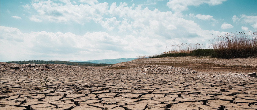 Why Water Stress Disclosure Matters for Corporate Risk Management