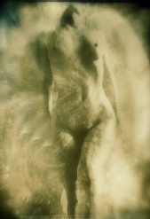 mark walpin fine art