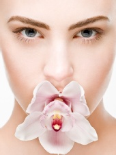Dolce Moda Photography