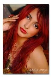 Models Choice