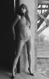 kkk  cuite