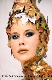 Y. B . Photographer & Makeup Artits