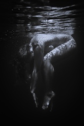AttreeImages Art Nudes