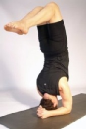 Daniel Adam Weiss