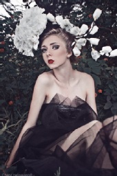 Courtney Cohn