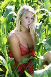 Todd L Church Photography