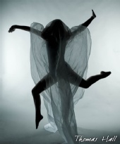 ShootForMe Photography