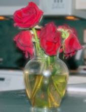 Freelance Photos