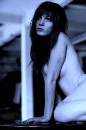 Donna Feldman Lasky