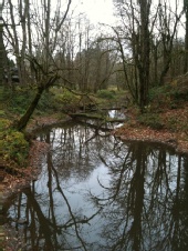 Aquatic Photo