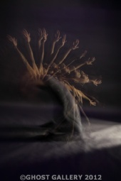 WIZARD FOOTOGRAPHY