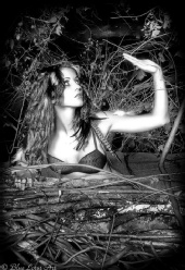 Blue Lotus Art Photography