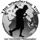 Joel McDonald - The Wandering Tog