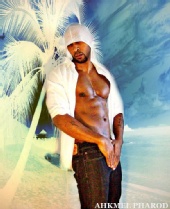 AHKMEL The Model