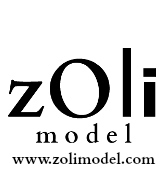 Zoli Model