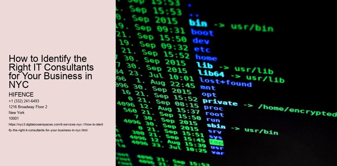 How to Identify the Right IT Consultants for Your Business in NYC