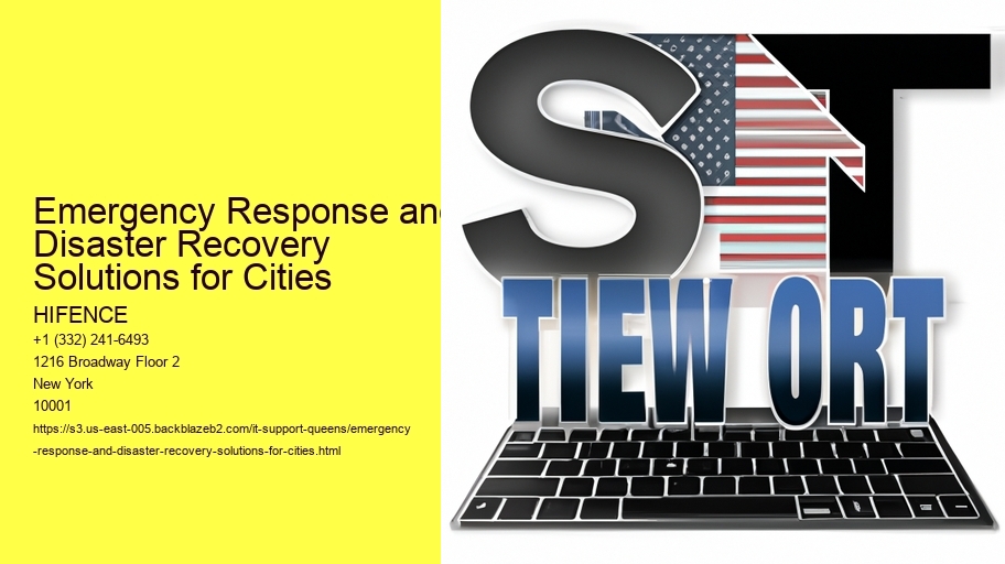 Emergency Response and Disaster Recovery Solutions for Cities