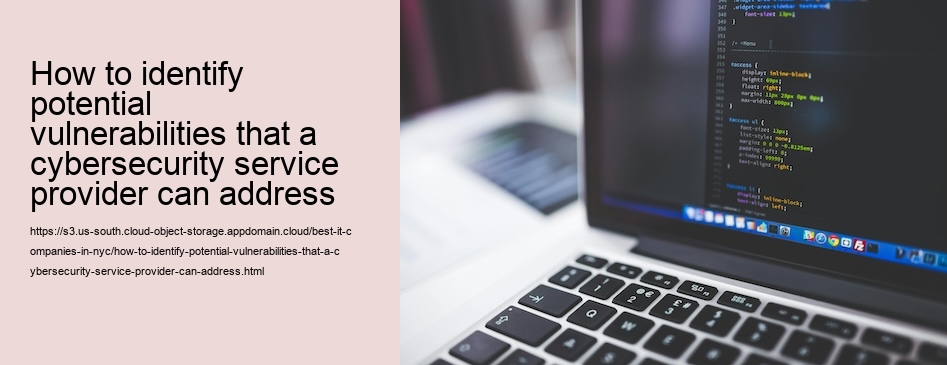 How to identify potential vulnerabilities that a cybersecurity service provider can address