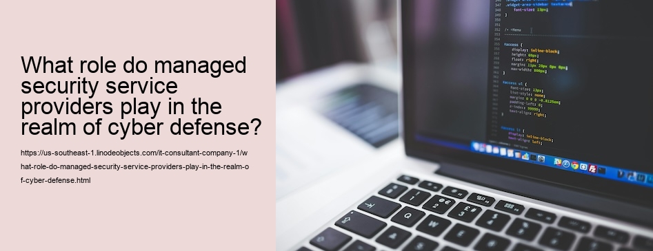 What role do managed security service providers play in the realm of cyber defense?