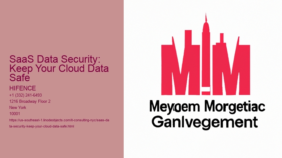 SaaS Data Security: Keep Your Cloud Data Safe