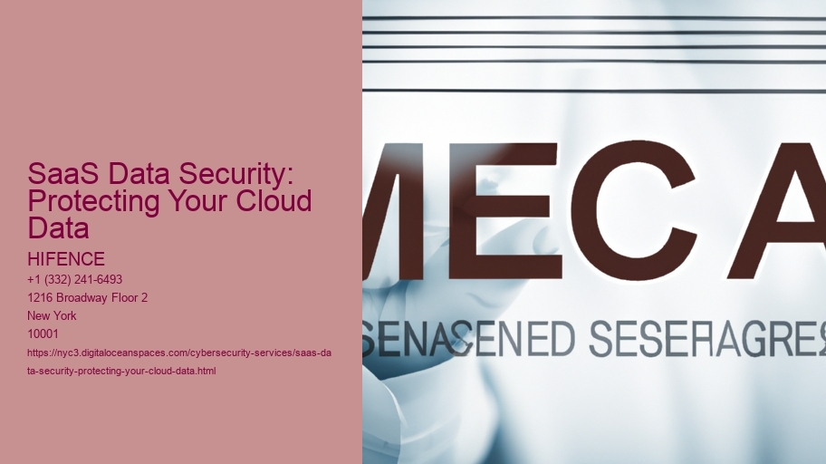 SaaS Data Security: Protecting Your Cloud Data