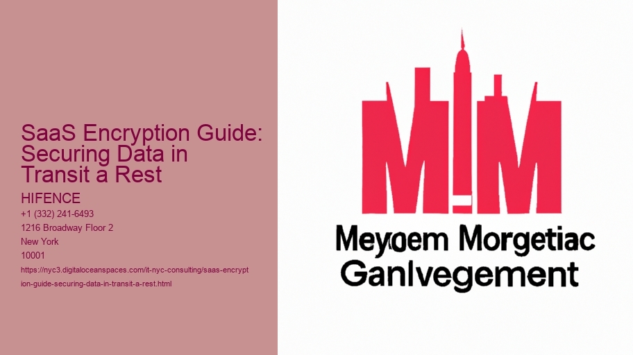 SaaS Encryption Guide: Securing Data in Transit a Rest