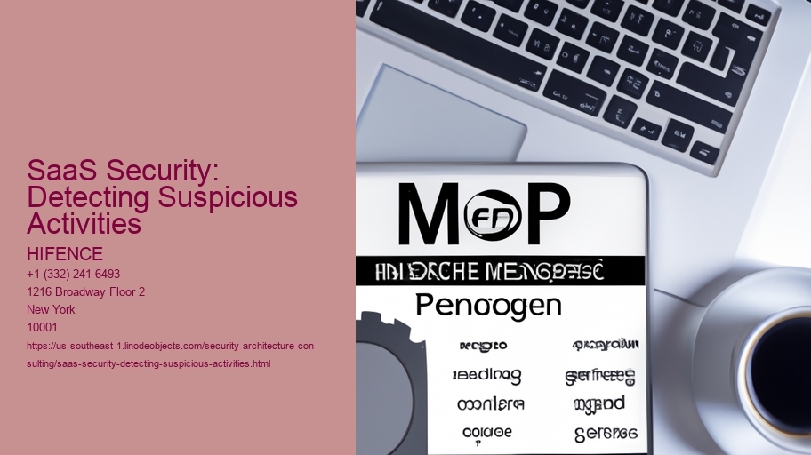 SaaS Security: Detecting Suspicious Activities
