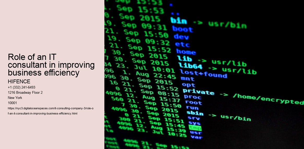 Role of an IT consultant in improving business efficiency