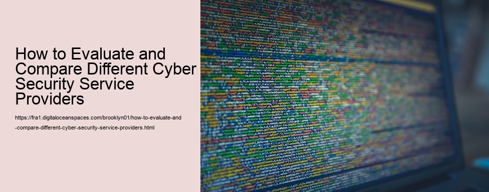 How to Evaluate and Compare Different Cyber Security Service Providers
