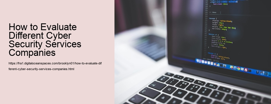 How to Evaluate Different Cyber Security Services Companies