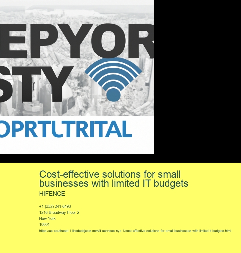 Cost-effective solutions for small businesses with limited IT budgets