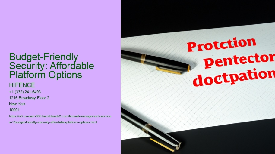 Budget-Friendly Security: Affordable Platform Options