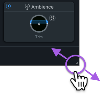 Resizing The Window