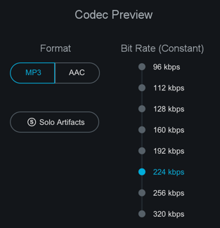 Codec Preview panel controls