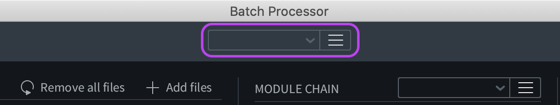 Batch Processor Preset Dropdown