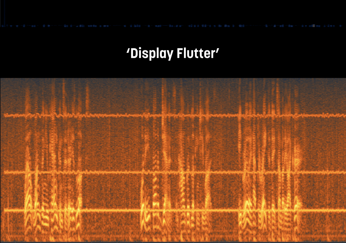 Display Flutter