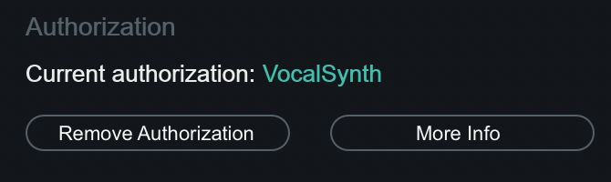 Options Authorization section cropped