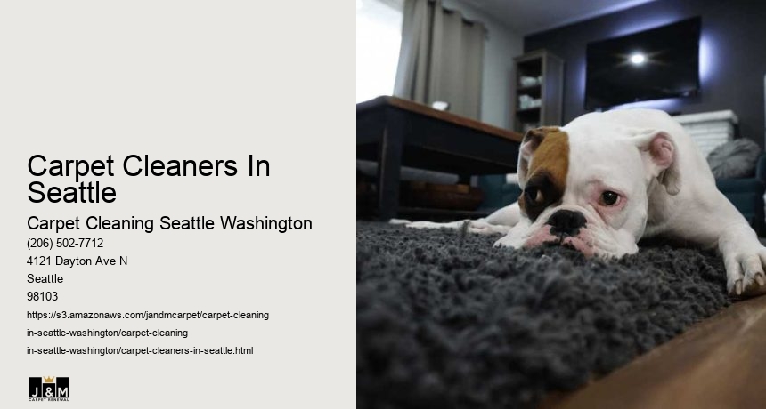 Carpet Cleaners In Seattle