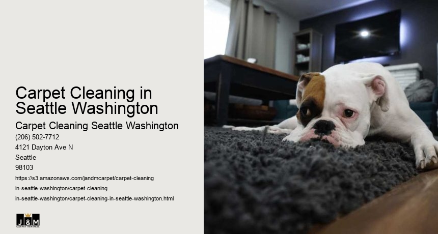 Carpet Cleaning in Seattle Washington