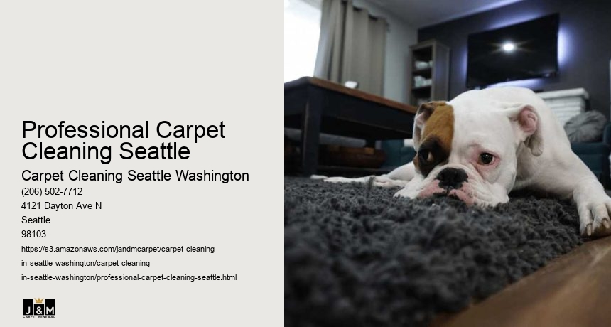 Professional Carpet Cleaning Seattle