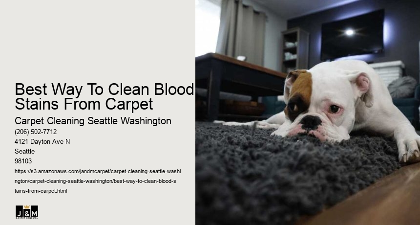 Best Way To Clean Blood Stains From Carpet
