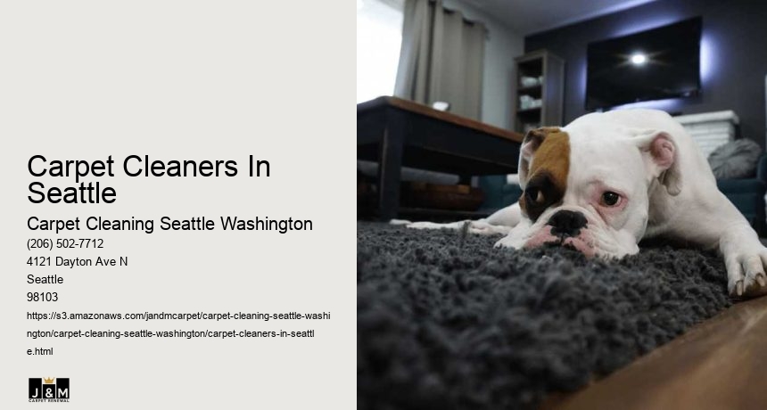 Carpet Cleaners In Seattle