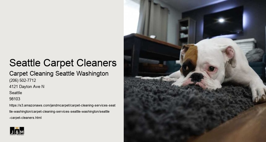 Seattle Carpet Cleaners