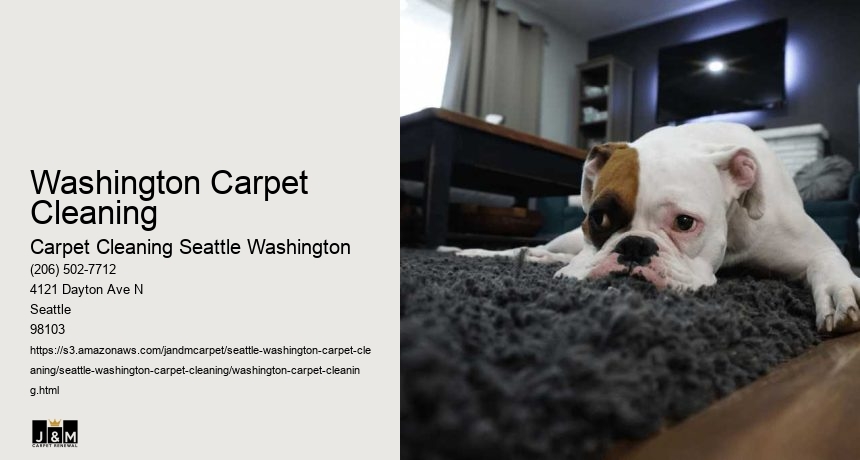 Washington Carpet Cleaning