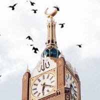 ضيف ضيف