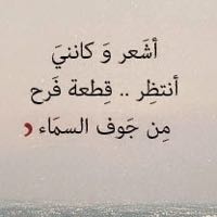 ضيف ضيف